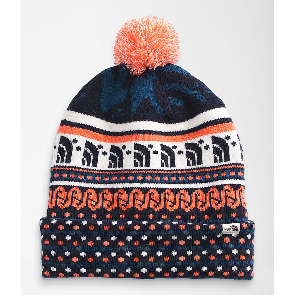 The North Face Beanies Mens Australia - The North Face Ski Tuke Blue Hiking (BNH-981563)